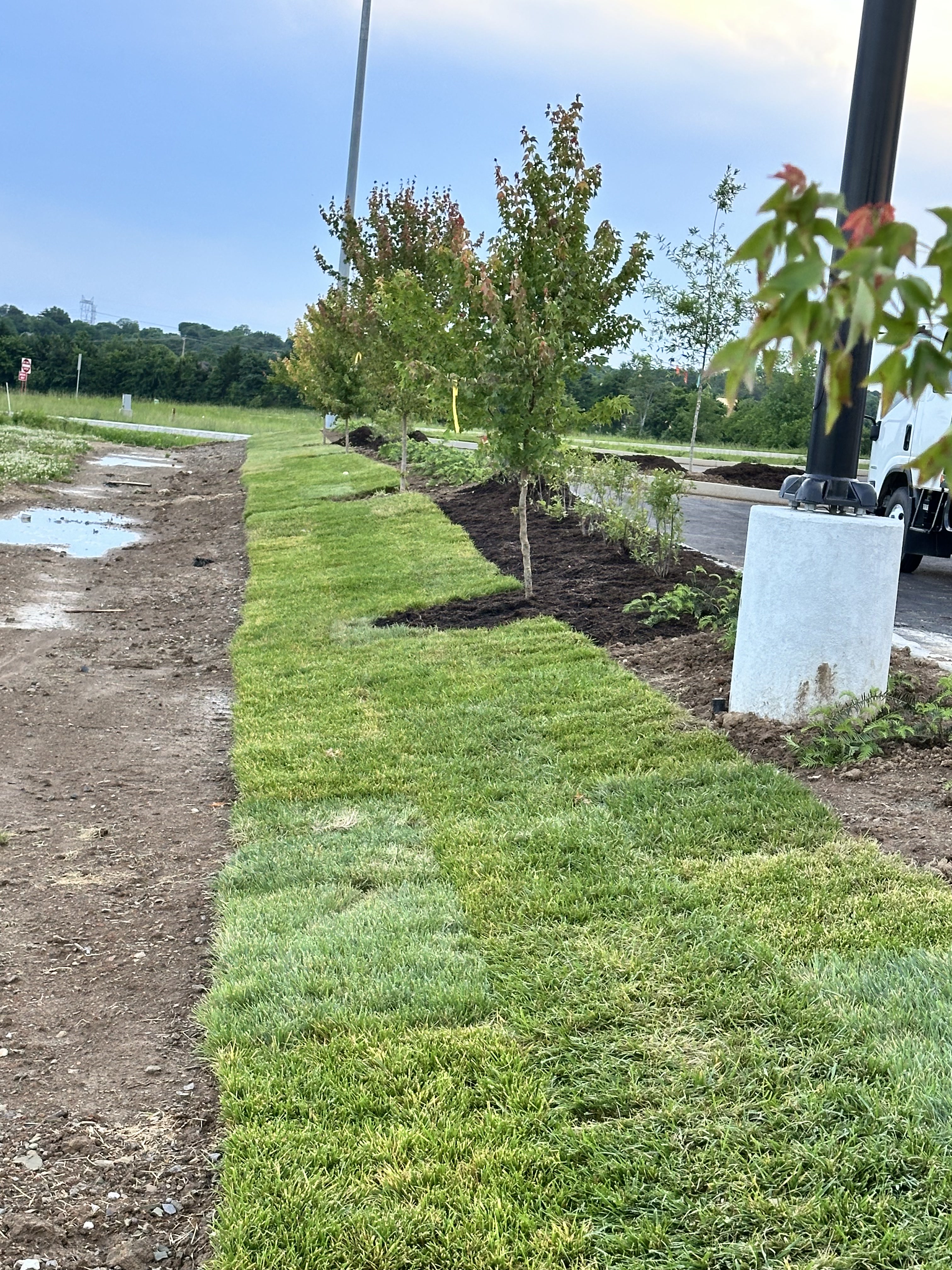Landscaping Oak Ridge TN